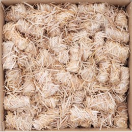 Ekologiškas kūrenimas 2kg