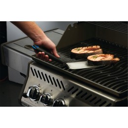 Napoleono lanksti mentelė