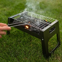 Blaupunkt anglies grilis 33 x 20 cm sulankstomas