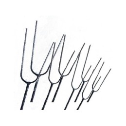 Aukciono objektas yra