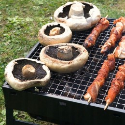 ⭐ Kodėl ši kepsninė?