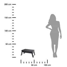 Sulankstomos turistinės anglies kepsninės 43x29cm
