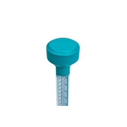 Bestway 58072 baseino vandens termometras