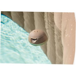 Plaukiojantis intex baseino cheminių medžiagų dozatorius