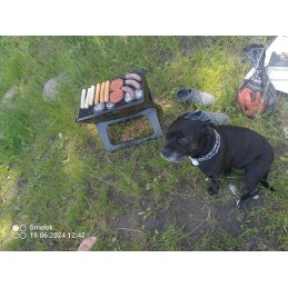 ⭐ Grilis su anglimis + nemokama e-knyga ⭐