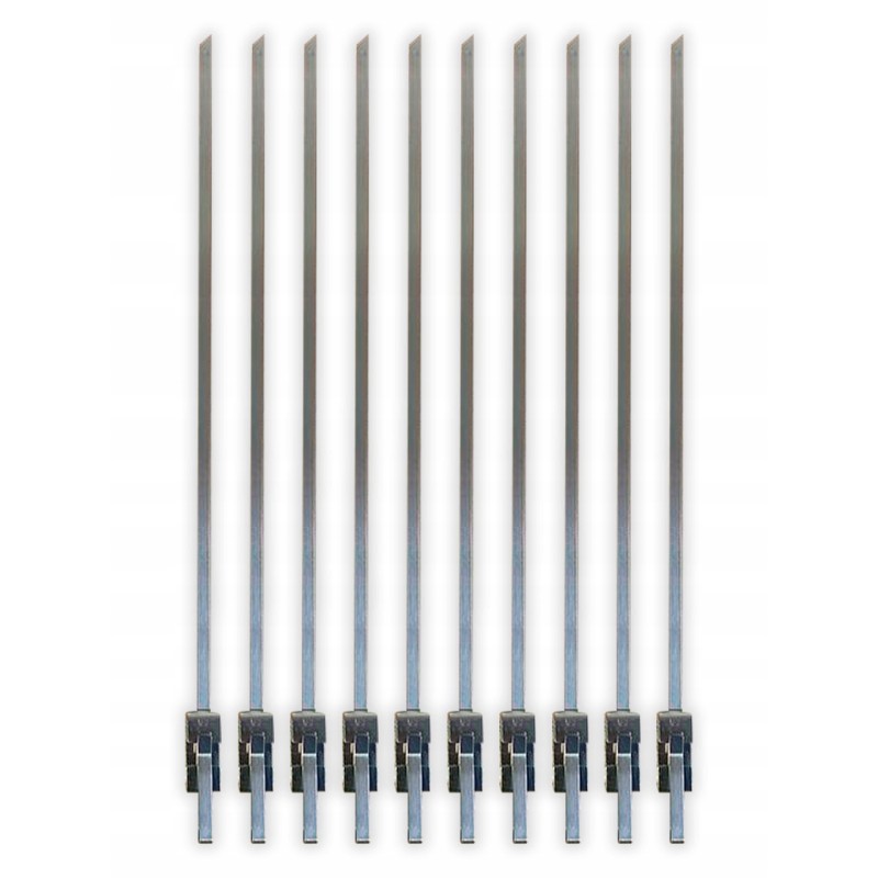 Šampūnas iešmams, šakutėms, iešmams