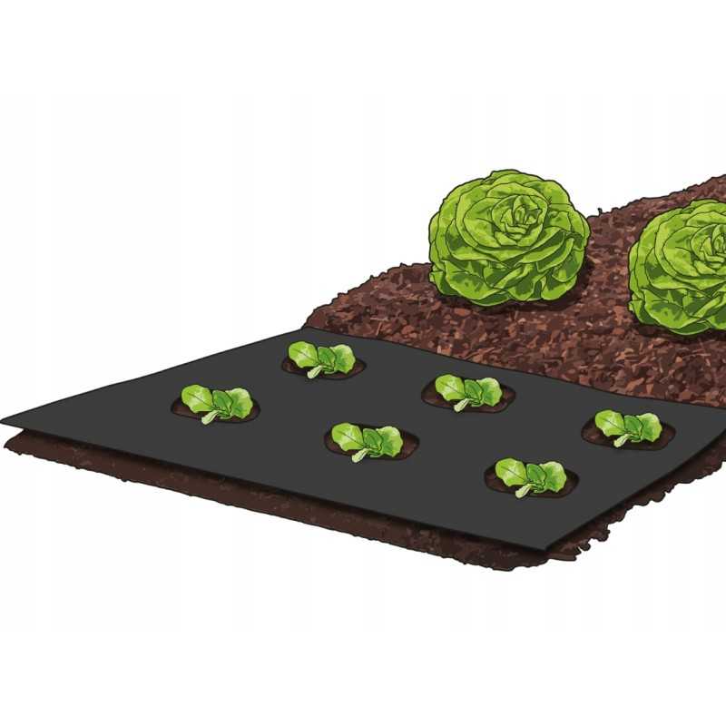 Sodo neaustinė agrotekstilė 5x1,5 m parko pakraštyje