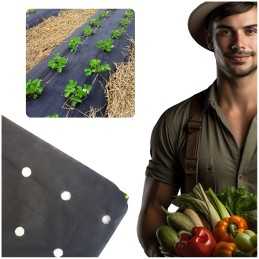 Agrotekstilė, skylės braškėms, 110 cm metrais