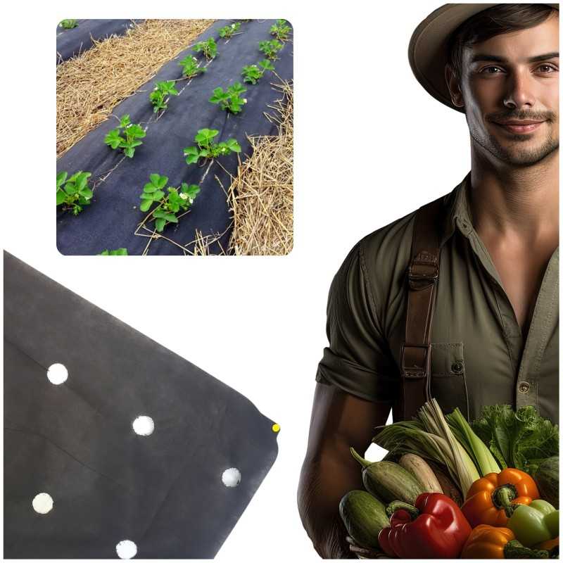 Agrotekstilė, skylės braškėms, 110 cm metrais