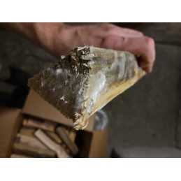 Sausos malkos 20 kg