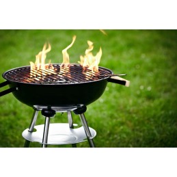 Gelio kūrenimas griliui ir židiniams 0,5l, 10 vnt