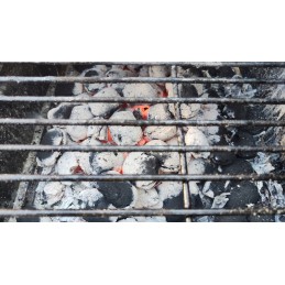 Ekologiški anglies briketai 10kg Bieszczady