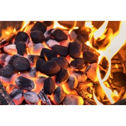 Ekologiški anglies briketai 10kg Bieszczady