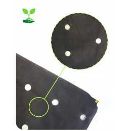 Agrotekstilė, skylės braškėms, 110 cm metrais