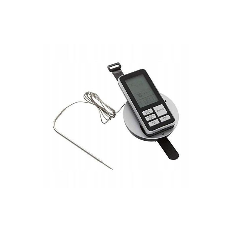 Quigg grilio termometras