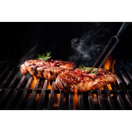 Aukščiausios kokybės Bieszczady anglies 10 kg grilio žiebtuvėliai