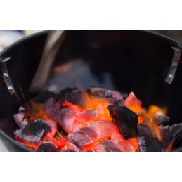 🌟_xDF1F_ bio grilio uždegimas 6l (6x1l) sutirštintas flambitas