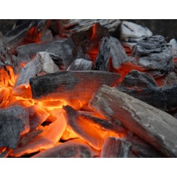 Ekologiška anglis iš Bieszczady kalnų 10kg