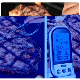 Maisto termometras su zondu - temperatūra 0°C +250°C