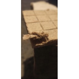 Ugnies užvedimas grilio židiniui 2400 vnt