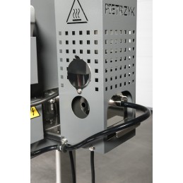 Rūkyklų slyvų auginiai