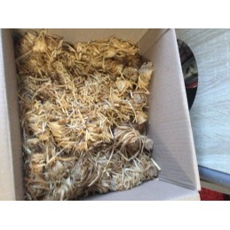 ⭐️ Ekologinis kūrenimas šašlykinei, laužui, katiliui ir viryklei įkurti ⭐️