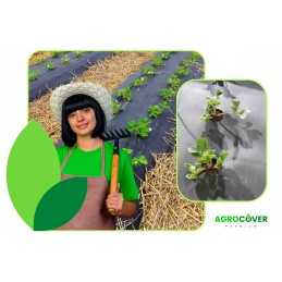 Agrotekstilė, skylės braškėms, 110 cm metrais