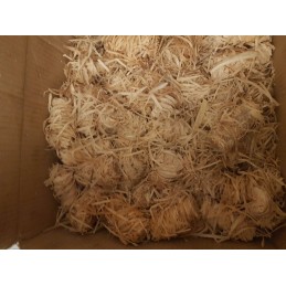 Eco starter xfire fire starter židinio griliui 5 kg