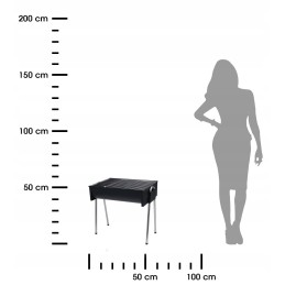 Turistinis grilis su anglimis 48x33x46 cm