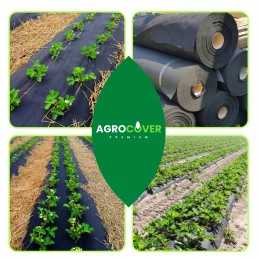 Agrotekstilė, skylės braškėms, 110 cm metrais