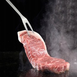 9in1 bbq grilio priedai