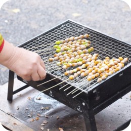 nešiojamas sulankstomas anglinis turistinis grilis su sodo lagaminu