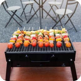 nešiojamas sulankstomas anglinis turistinis grilis su sodo lagaminu