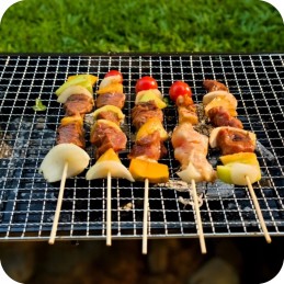 nešiojamas sulankstomas anglinis turistinis grilis su sodo lagaminu