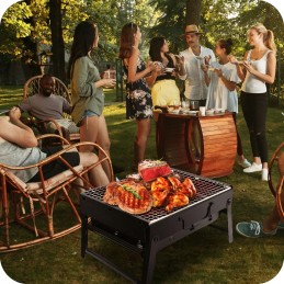 nešiojamas sulankstomas anglinis turistinis grilis su sodo lagaminu
