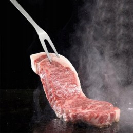 Grilio rinkinys, priedai, bbq grilio įrankiai, 9 in 1, 4 kilimėliai