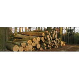 Uždegimas pagamintas iš natūralios, ekologiškos medienos