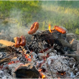 ✅Grilio šakutės 10 vnt