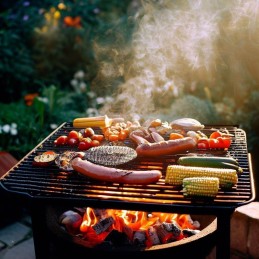 Ekologiška anglis iš Lenkijos 4x 2,5 kg (10 kg)