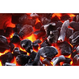 Ekologiška anglis iš Lenkijos 4x 2,5 kg (10 kg)