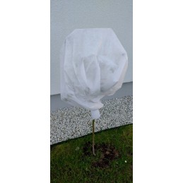 Balta žieminė agrotekstilė 1,6x10m