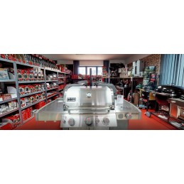 „Broil king“ grotelių šepetys, skirtas ketaus viryklėms, tvirtas, delnų plaukų šereliai