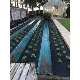 Stora juoda agrotekstilė 80 gr 0,8x10 m piktžolėms