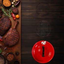 Didelės anglies grotelės su ratukais, uždara apvali peleninė