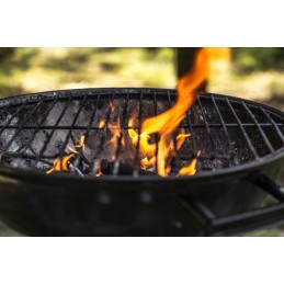 Grilio rinkinys - anglis + ugnies degikliai