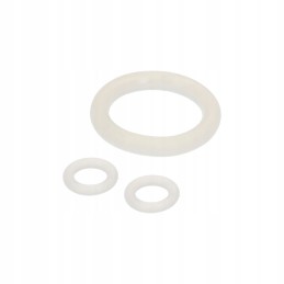 Mėsos injektorius, 60 ml švirkštas, 2 adatos