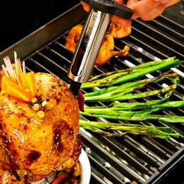 Broil King terasest marinaadisüstal liha kastmega süstimiseks