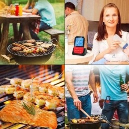 Belaidis termometras su laikmačiu ir dviem temperatūros zondais