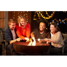 8x dvigubi iešmai laužui, kepsninė dešrelių iešmams, iešmas 81 cm