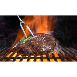 8x dvigubi iešmai laužui, kepsninė dešrelių iešmams, iešmas 81 cm